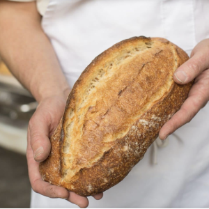 Screenshot 2025-02-01 at 10.35.25 AM